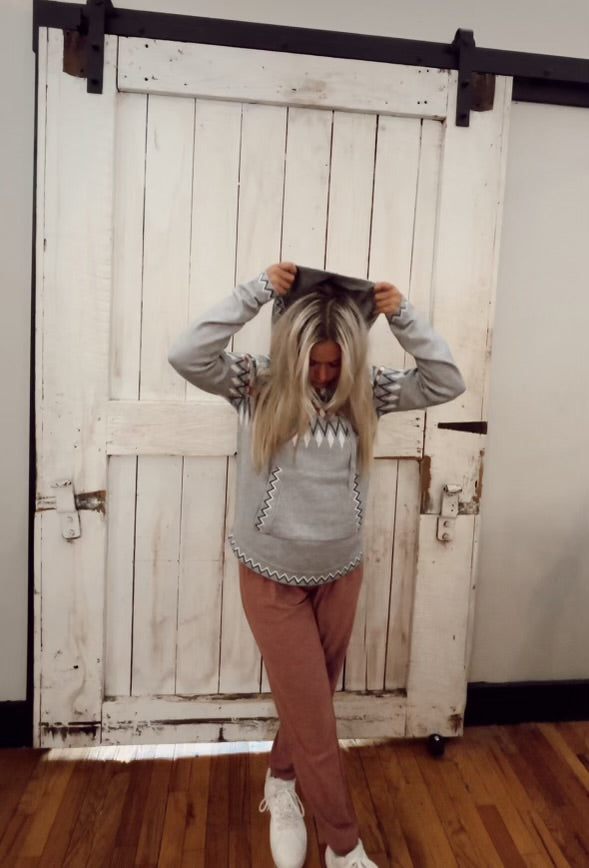 Plush Knit Ski Hoodie Sweater