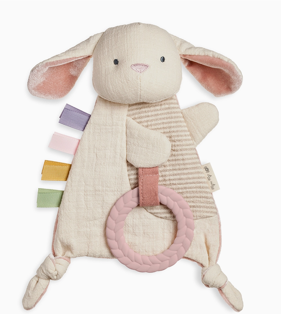 Bitzy Crinkle Sensory Toy with Teether