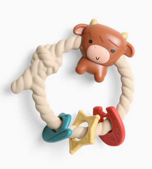 Ritzy Rattle Silicone Teether Rattles