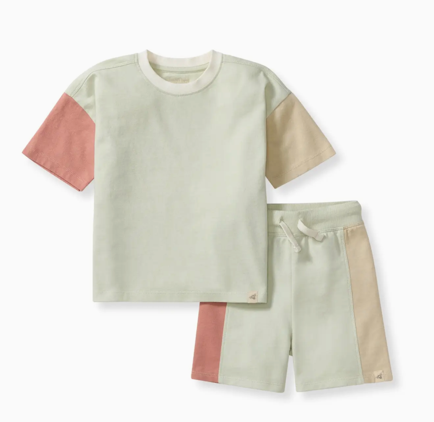 Color Blocked Boy Tee & Shorts Set